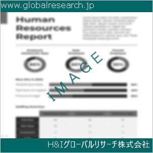 グローバルリサーチ調査資料のイメージ